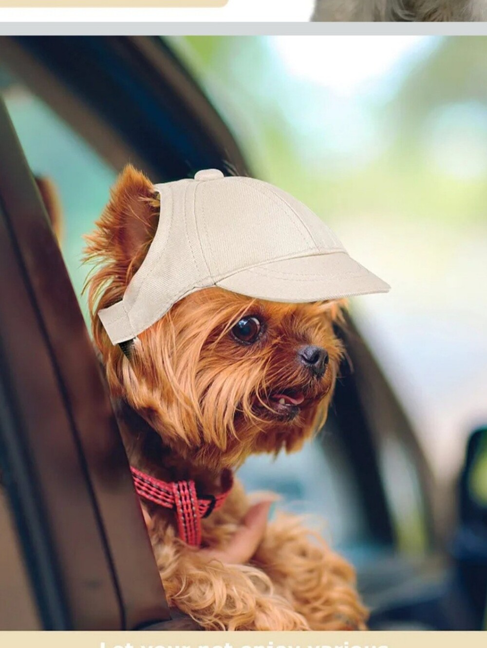 Premium Adjustable Dog Sun Visor Baseball Cap with Ear Holes and Chin Strap